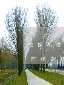 安逸花提前還款還有靈活還款包-安逸花提前還款還有靈活還款包括利息嗎
