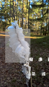 安逸花显示该分期无法提前还款-安逸花显示该分期无法提前还款怎么回事