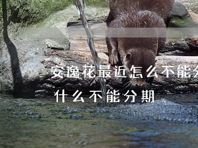 安逸花最近怎么不能分期還款了-安逸花為什么不能分期