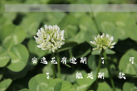 安逸花有逾期買了會員可以延期嗎-安逸花買了會員能延期還款