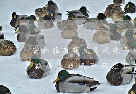 安逸花有额度没提现不用还款吧-安逸花有额度没提现不用还款吧怎么办