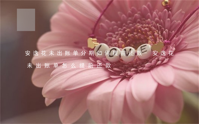 安逸花未出账单分期如何提前还款-安逸花未出账单怎么提前还款