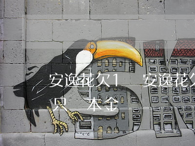 安逸花欠1萬(安逸花欠1萬5逾期一年可以只還本金嗎)