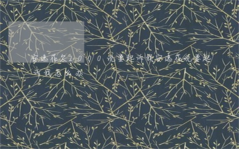安逸花欠2000说要起诉我(安逸花说要起诉我怎么办)