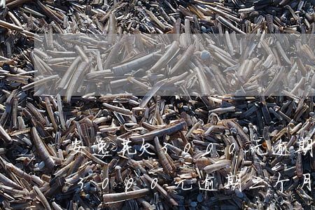 安逸花欠3000元逾期三个月-安逸花欠3000元逾期三个月,会上门吗?