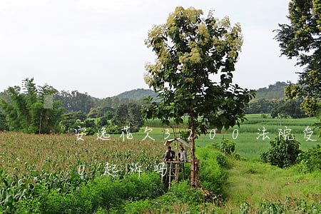 安逸花欠3200法院受理吗(安逸花2000起诉吗)