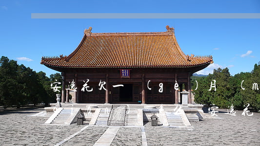 安逸花欠一個(gè)月沒(méi)錢(qián)還怎么辦(安逸花借的錢(qián)還不起怎么辦)