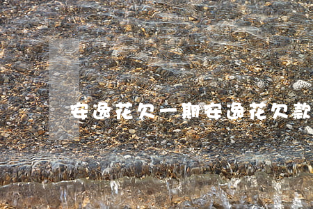 安逸花欠一期(安逸花欠款一年會怎么樣)