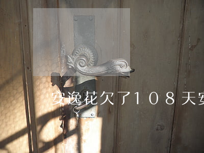 安逸花欠了108天(安逸花半年没还)