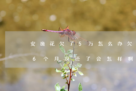 安逸花欠了5万怎么办(欠安逸花3000元6个月没还了会怎样啊)