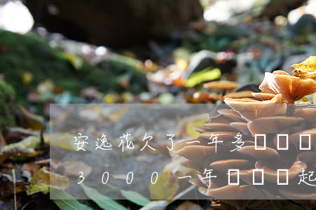 安逸花欠了一年多沒還會坐牢嗎(安逸花欠款3000一年沒還會起訴我嗎?)