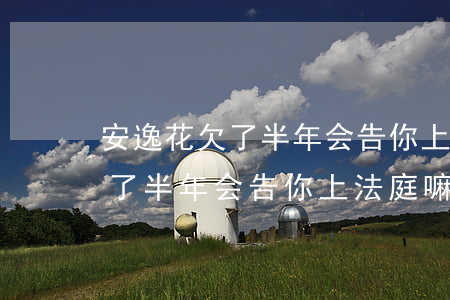 安逸花欠了半年会告你上法庭嘛-安逸花欠了半年会告你上法庭嘛是真的吗