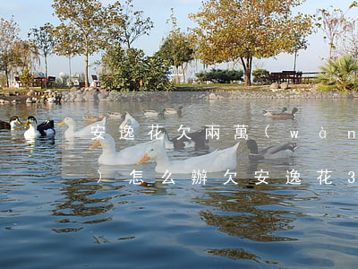安逸花欠兩萬(wàn)元不還會(huì)怎么辦(欠安逸花3000元6個(gè)月沒(méi)還了會(huì)怎樣啊)