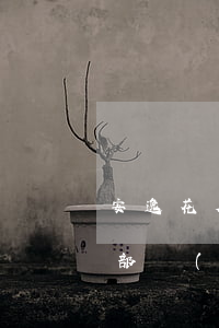 安逸花欠八佰(安逸花我已經(jīng)全部結(jié)清了!每個(gè)月還欠款)
