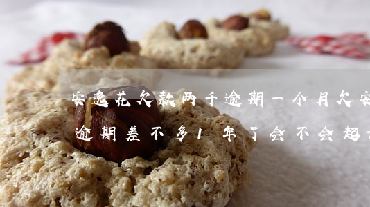 安逸花欠款两千逾期一个月(欠安逸花几千元逾期差不多1年了会不会起诉)