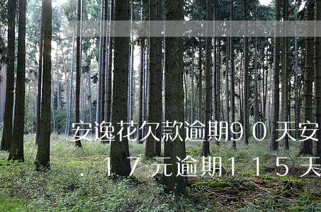 安逸花欠款逾期90天(安逸花欠款1325.17元逾期115天會被起訴嗎)