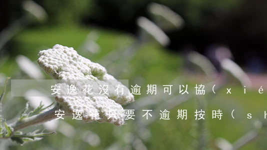 安逸花沒有逾期可以協(xié)商還款嗎(安逸花只要不逾期,按時(shí)還款一般就沒事吧)