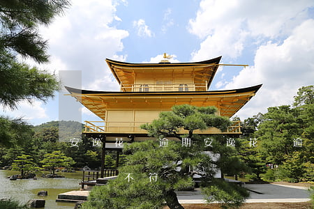 安逸花沒逾期 安逸花沒逾期過就不讓借了,說資質不符