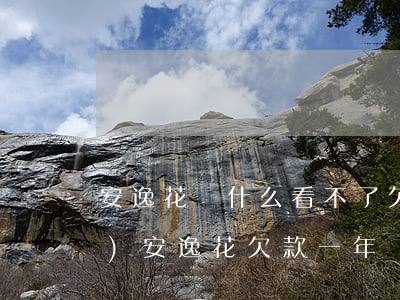 安逸花為什么看不了欠了多少錢(qián)(安逸花欠款一年會(huì)怎么樣)