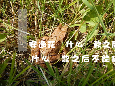 安逸花為什么還款之后不能借了-安逸花為什么還款之后不能借了
