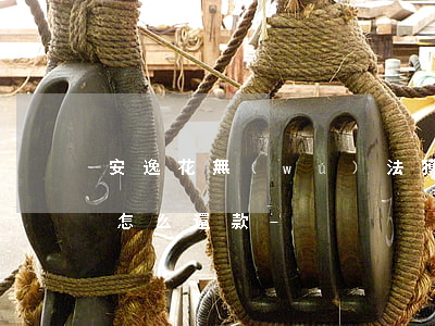 安逸花無(wú)法獲取驗(yàn)證碼怎么還款-