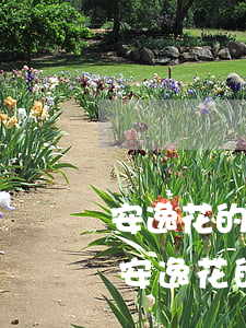 安逸花的靈活還款包服務(wù)是什么-安逸花的靈活還款包是什么意思