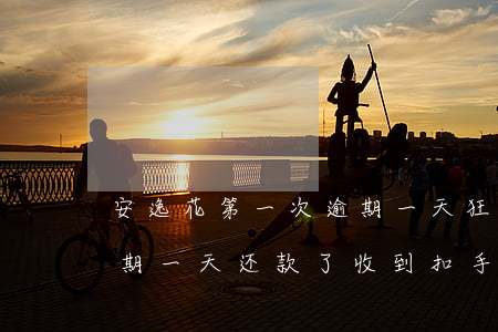 安逸花第一次逾期一天狂发短信-安逸花逾期一天还款了,收到扣手续费短信