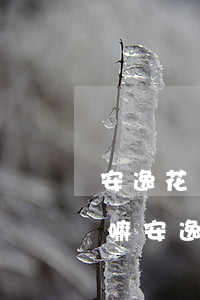 安逸花網(wǎng)貸會(huì)起訴嘛(安逸花會(huì)告上法庭嗎)