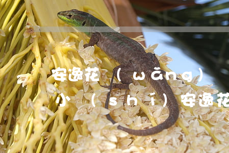 安逸花網(wǎng)貸逾期一個(gè)小時(shí)(安逸花逾期3個(gè)月非要全部還進(jìn)去怎么辦)