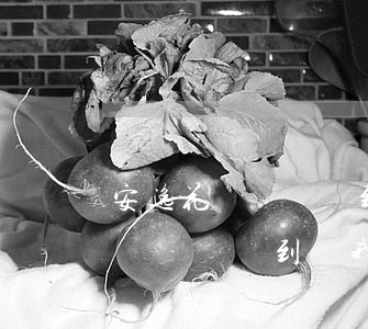 安逸花網貸錢沒到賬我需要還款嗎-安逸花網貸錢沒到賬我需要還款嗎是真的嗎