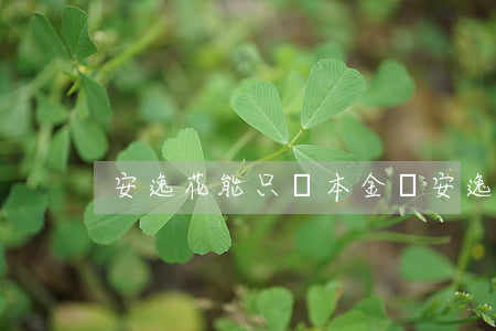 安逸花能只還本金嗎(安逸花可以隨時還清嗎)