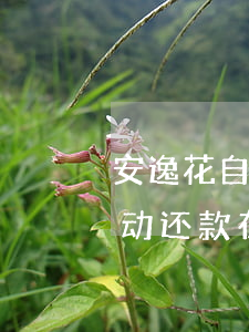 安逸花自动还款在支付宝里扣吗-安逸花自动还款在支付宝里扣吗安全吗