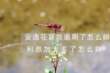 安逸花貸款逾期了怎么辦(安逸花逾期幾個月利息加太多了怎么辦)