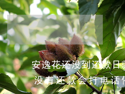 安逸花还没到还款日就一直打电话-安逸花没有还款会打电话催吗