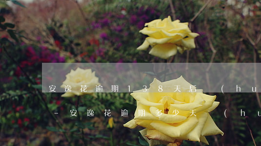 安逸花逾期138天后會(huì)怎么樣-安逸花逾期多少天會(huì)起訴,我已經(jīng)還了2000多