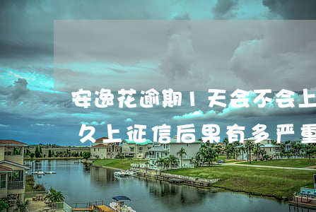安逸花逾期1天会不会上征信(安逸花逾期多久上征信?后果有多严重)