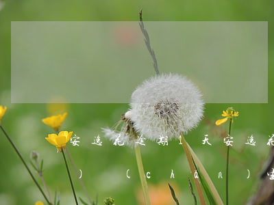 安逸花逾期1天(安逸花逾期1天會(huì)產(chǎn)生多少逾期費(fèi)用)