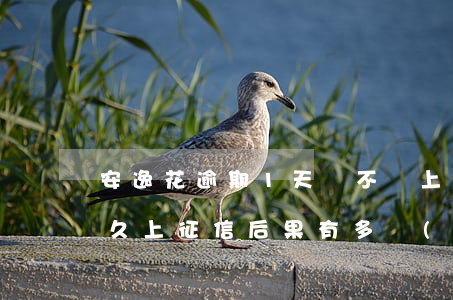 安逸花逾期1天會不會上征信(安逸花逾期多久上征信?后果有多嚴(yán)重)