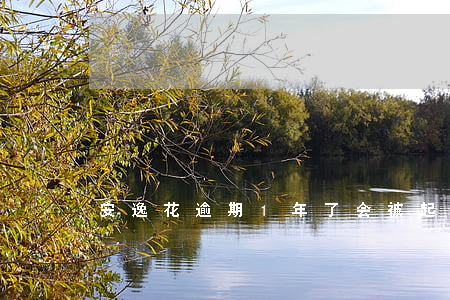 安逸花逾期1年了会被起诉吗