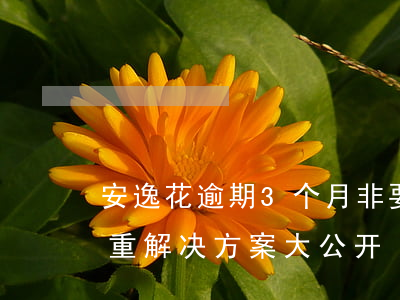 安逸花逾期3个月非要全部还进去？影响严重，解决方案大公开！