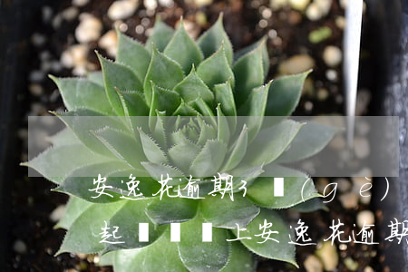 安逸花逾期3個(gè)月會(huì)被起訴嗎 馬上安逸花逾期一年說要起訴我是真的嗎