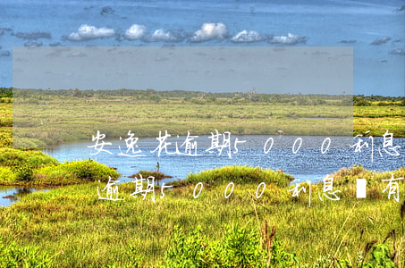 安逸花逾期5000利息會有多少-安逸花逾期5000利息會有多少錢