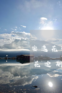 安逸花逾期5個(gè)月了還能用嗎（安逸花逾期5個(gè)月了）