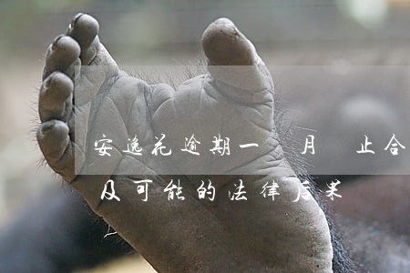 安逸花逾期一個月：終止合同、一次結清要求及可能的法律后果