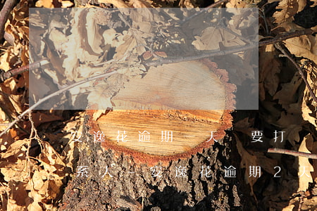 安逸花逾期一天說要打緊急聯(lián)系人-安逸花逾期2天說要打電話給家里人會(huì)打嗎