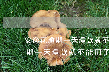 安逸花逾期一天還款就不能用了-安逸花逾期一天還款就不能用了嗎