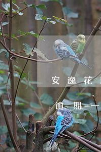 安逸花逾期一年半今天收到律師函-安逸花逾期一年半今天收到律師函是真的嗎
