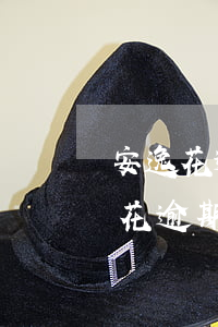 安逸花逾期一年多了要被起訴是真的嗎(安逸花逾期了,聯(lián)系了我說起訴到法院)