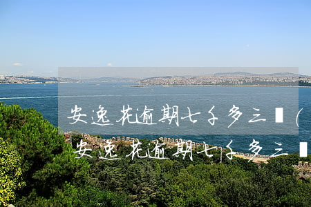 安逸花逾期七千多三個(gè)月怎么辦-安逸花逾期七千多三個(gè)月怎么辦啊