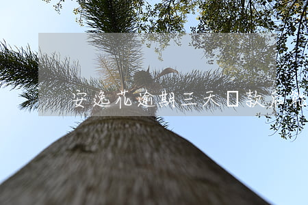 安逸花逾期三天還款后能否正常借款及取出?